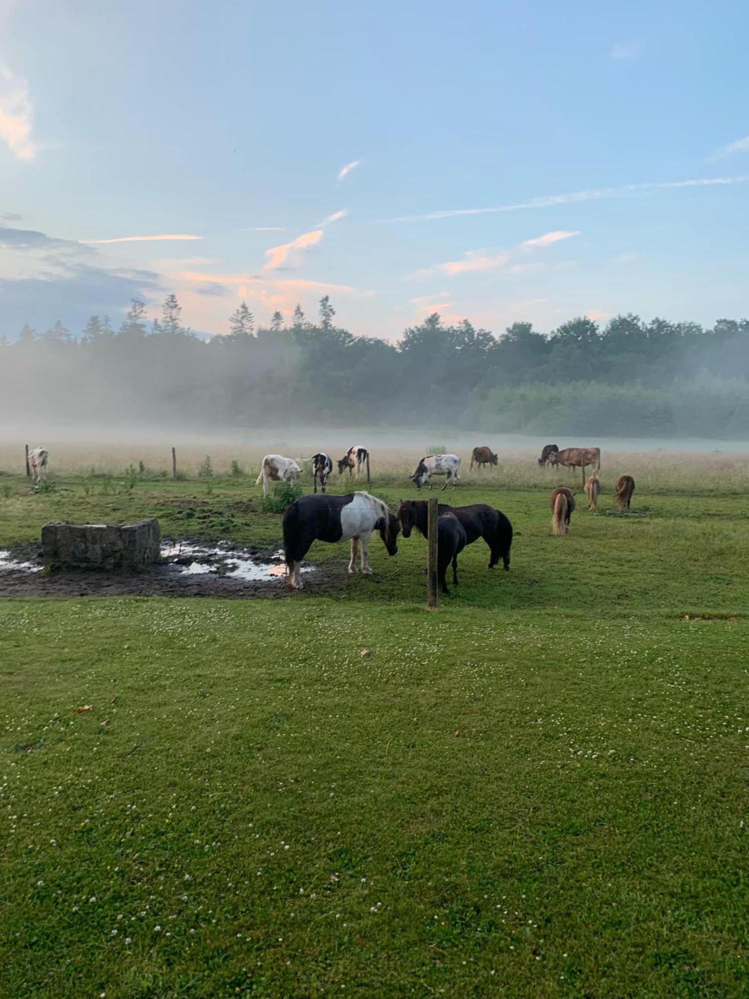 Holmsminde Bed & Breakfast Viborg Luaran gambar